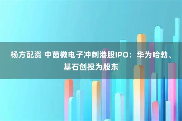 杨方配资 中茵微电子冲刺港股IPO：华为哈勃、基石创投为股东