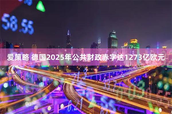 爱策略 德国2025年公共财政赤字达1273亿欧元